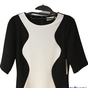 Bisou Bisou Dress Sheath Size 4 Black Ivory Stretch Short Sleeves Fitted Texture